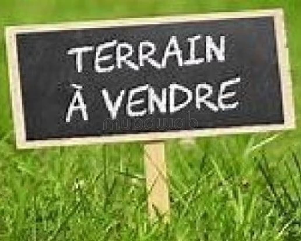 Terrain de 1100 m2 au beau côté de longchamps