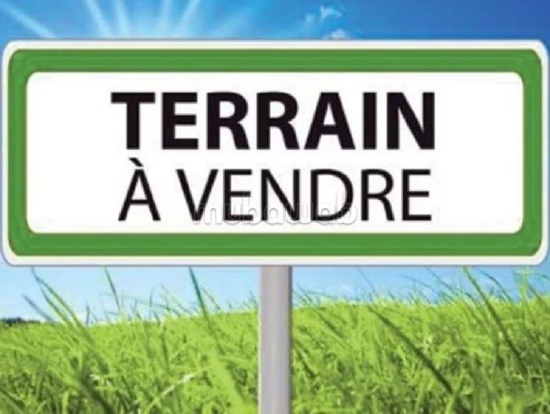 Terrain de 1625 m2 à Californie