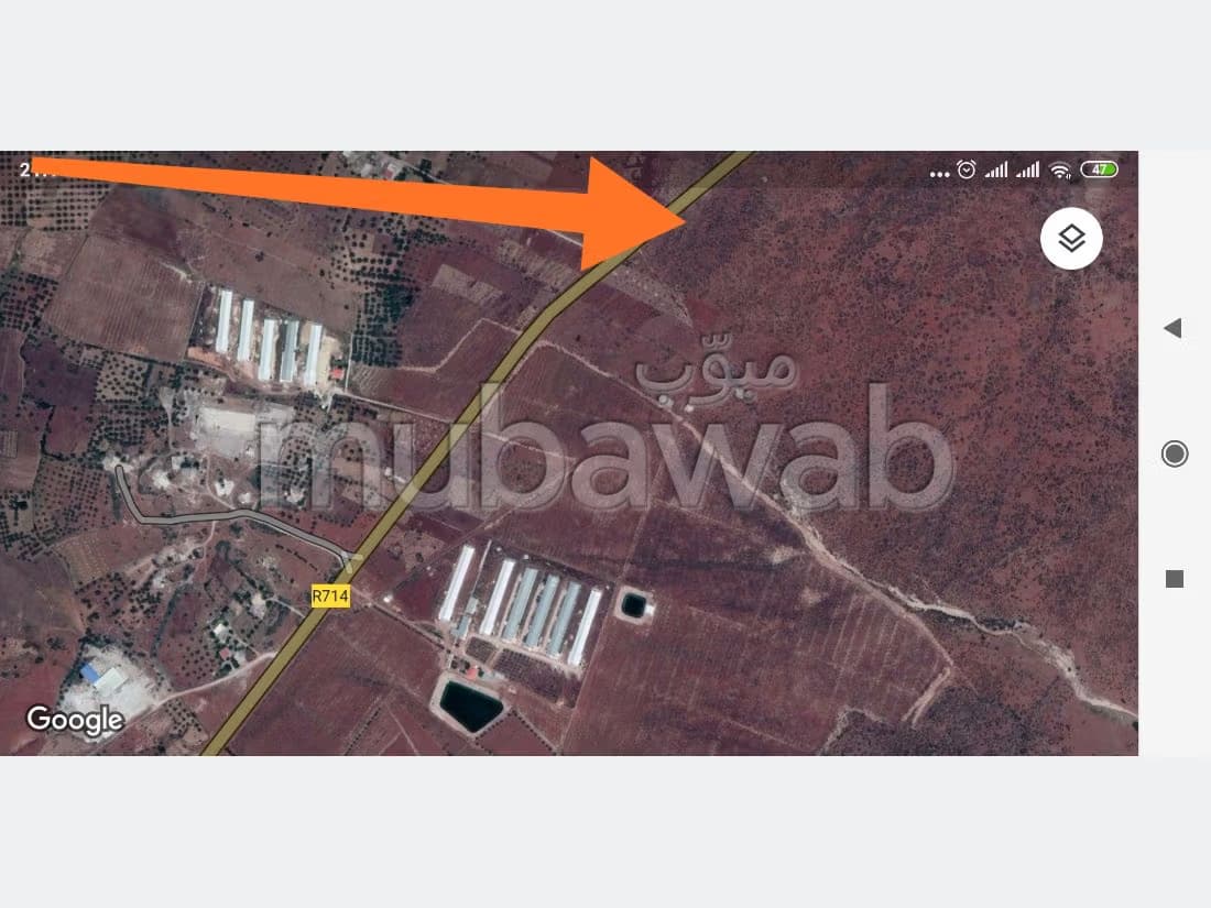 Terrain 9.5Ha à sidi khyar FES