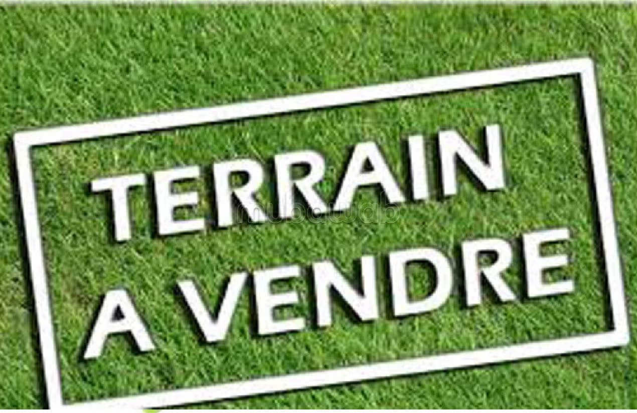 Vente terrain région d'Essaouira