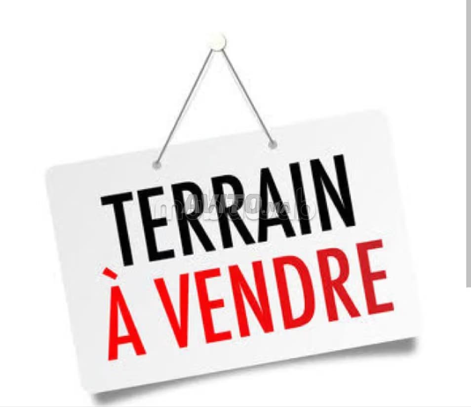 Terrain à vendre hayriad