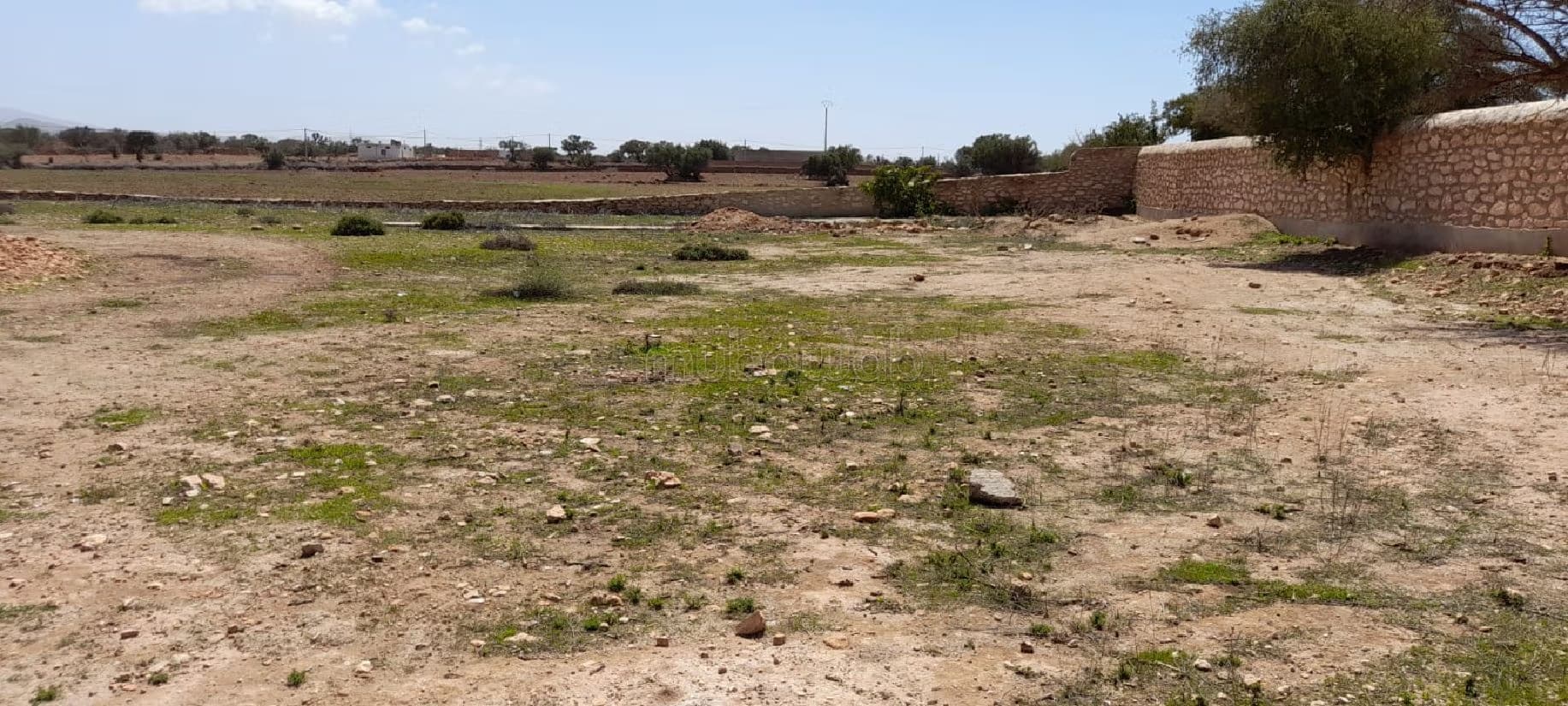 Terrain 1hectare avec plan maison d'hotes