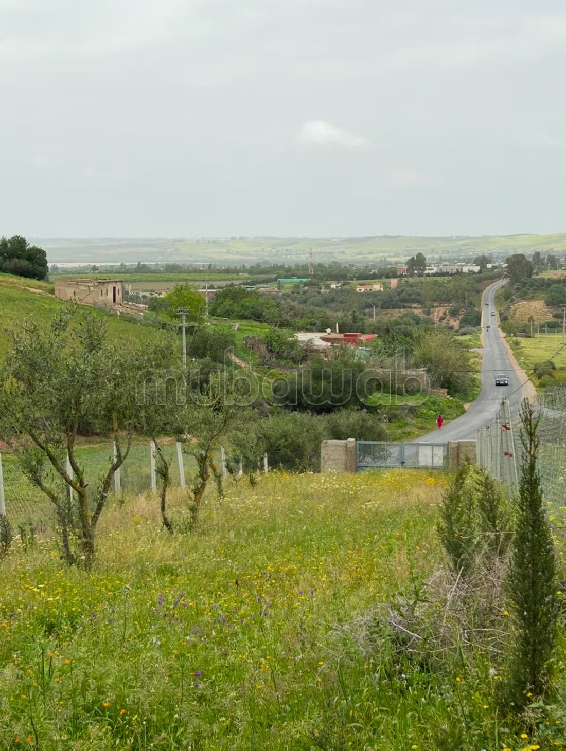 Terrain de 5 hectares dans la région de Salé Shoul