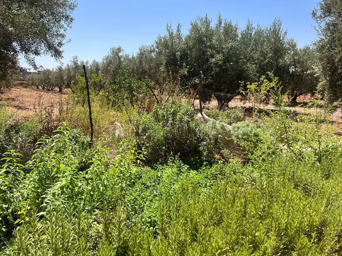 Ferme a ne pas rater sur la route l'Ourika