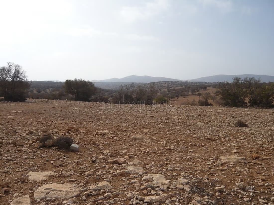 Terrain de 3,5 ha à 22 kms d'Essaouira
