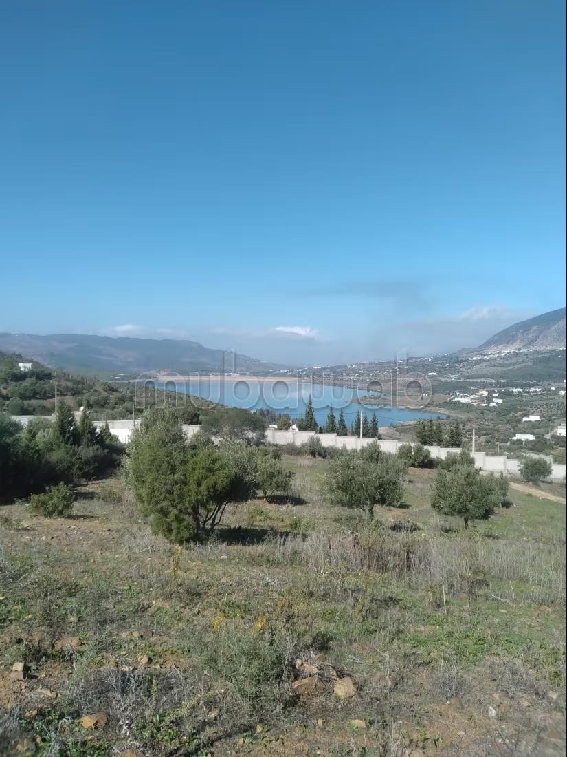Terrain vue sur nouveau barrage à Zinat
