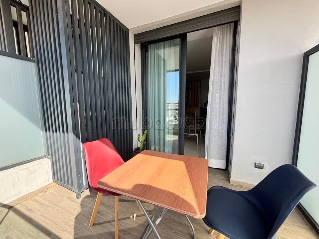 Très joli studio en location meublée avec 2 terrasses