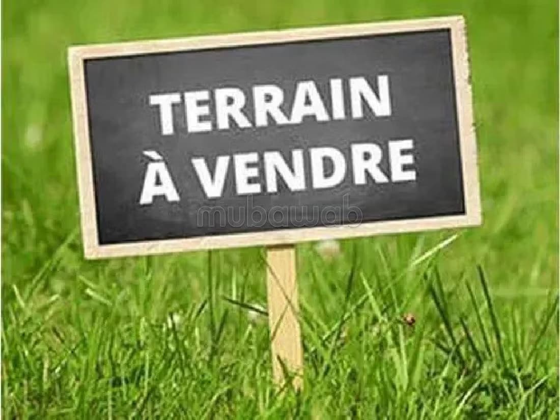 Terrain à vendre titré à hayriad