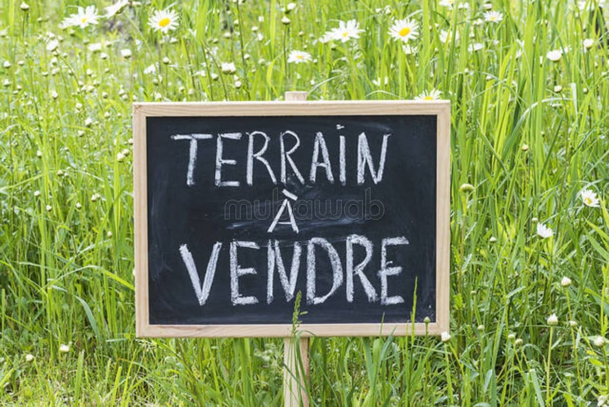Terrain zone immeuble Laymoune