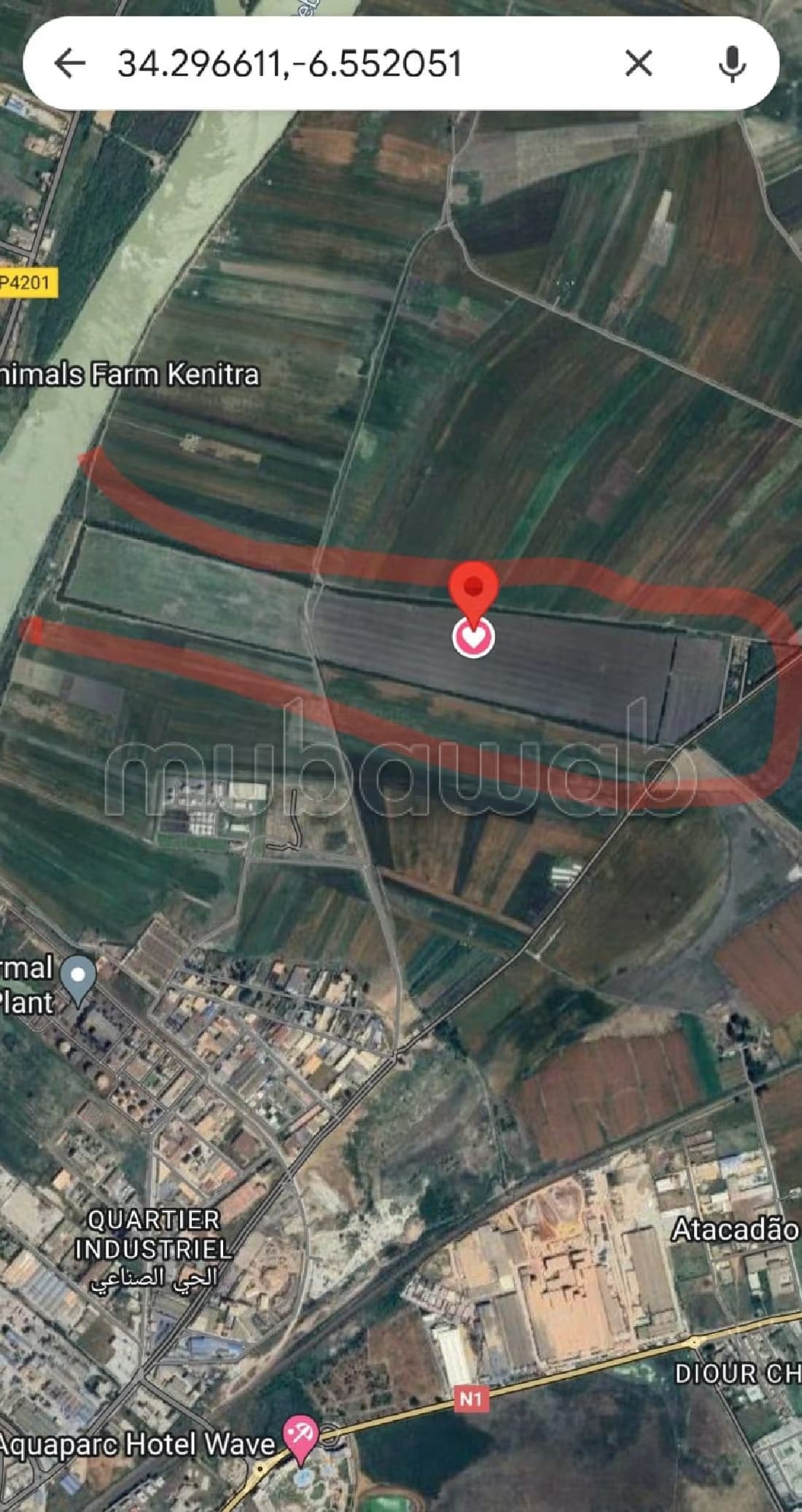 Terrain à vendre sur KENITRA 47 hectares