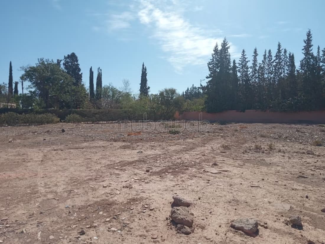 Terrain 1 hectare avec VNA à vendre zone SD 1 route ourika k...