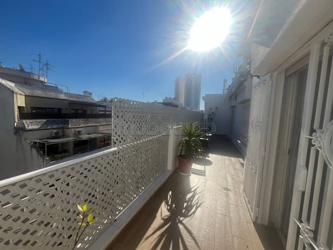 Appartement t3 meuble de 125m² terrasse