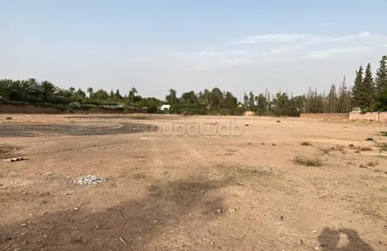 Terrain de 4900 m2 bien situé à Californie AFFAIRE