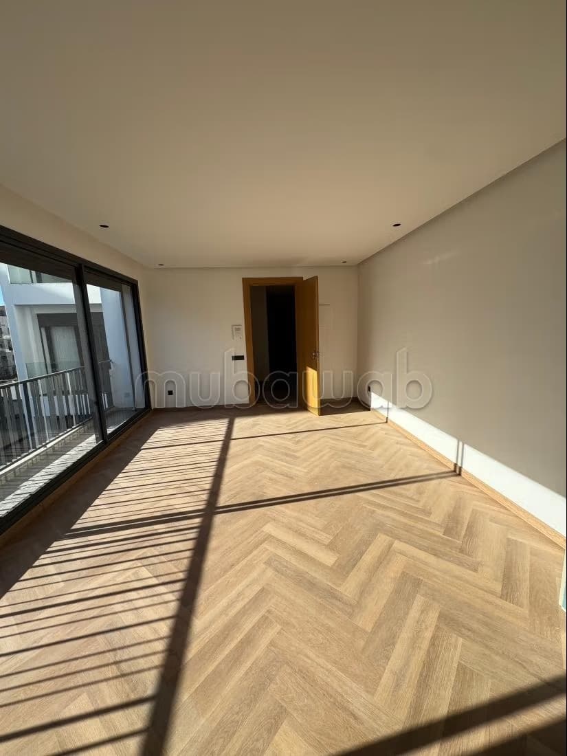 Studio premium à saisir