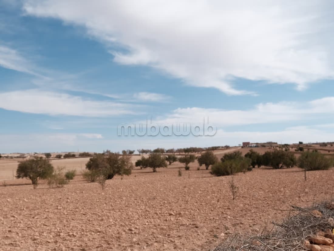 Titled Land For Sale Essaouira Province