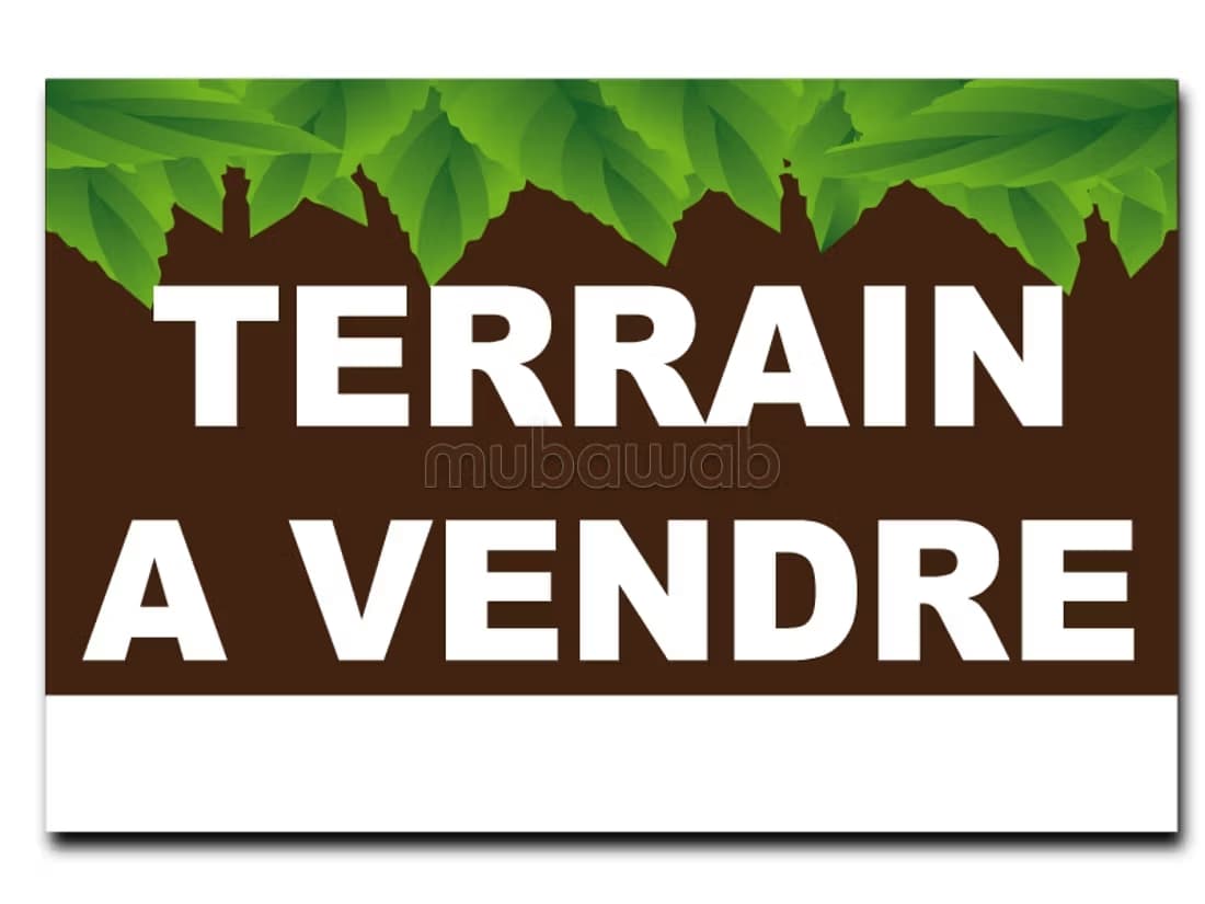 Terrain de 345 m, hay riad