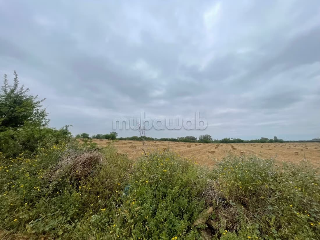 Lot terrain a vendre zone industrielle