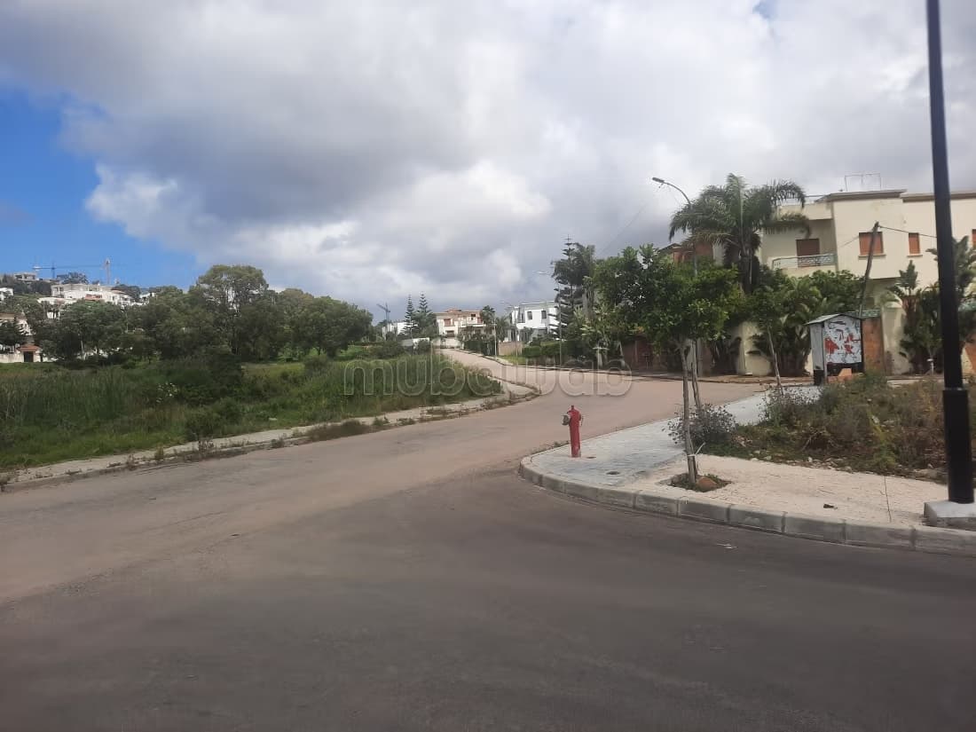 Terrain Avendre 600 m2 Jbel kbir