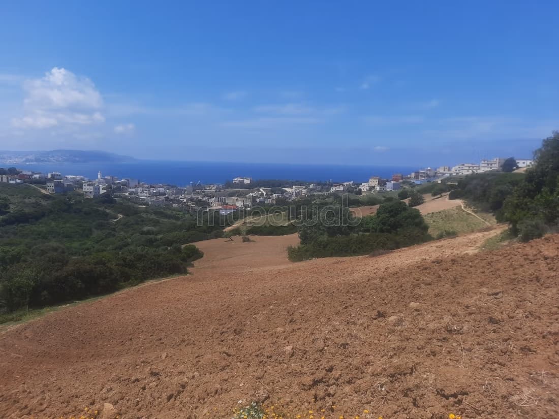 Terrain Avendre 2 hectar menar
