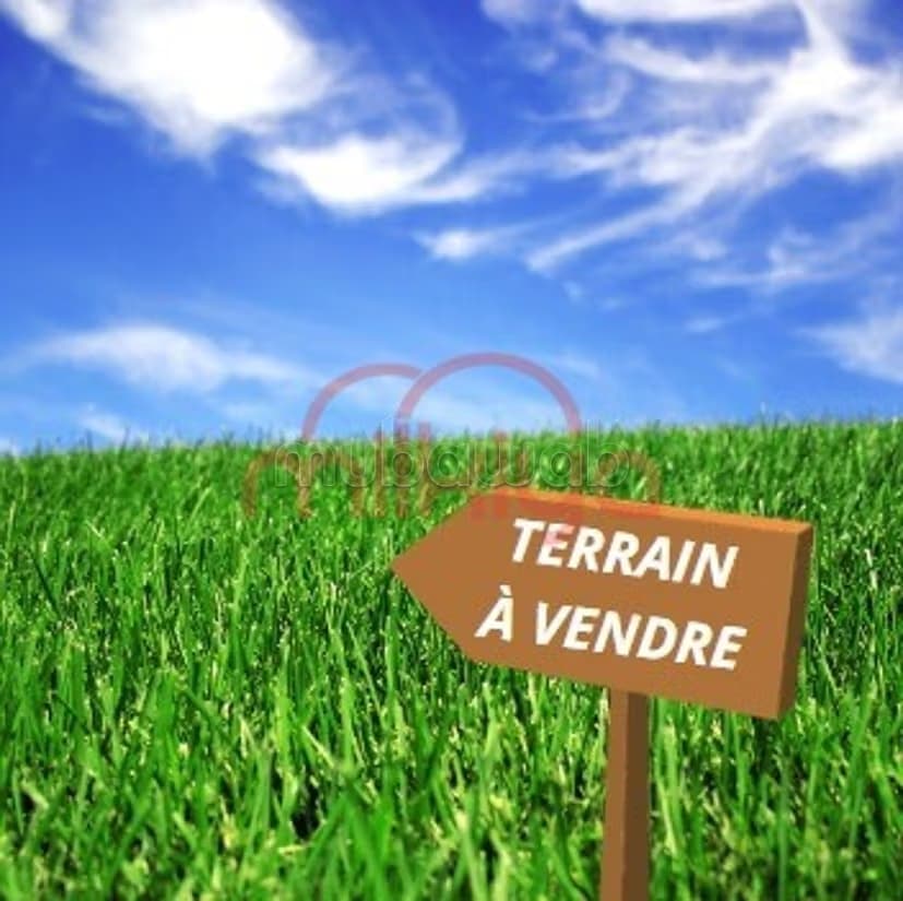 Vente Terrain nu à El Jadida