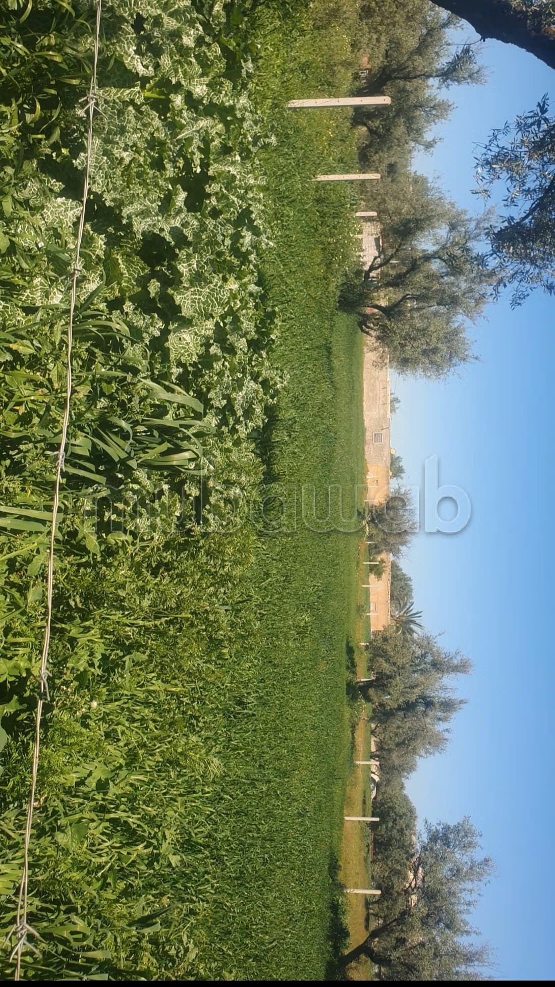 Ferme à la vente à Route Immouzer. Surface totale 3000 m²
