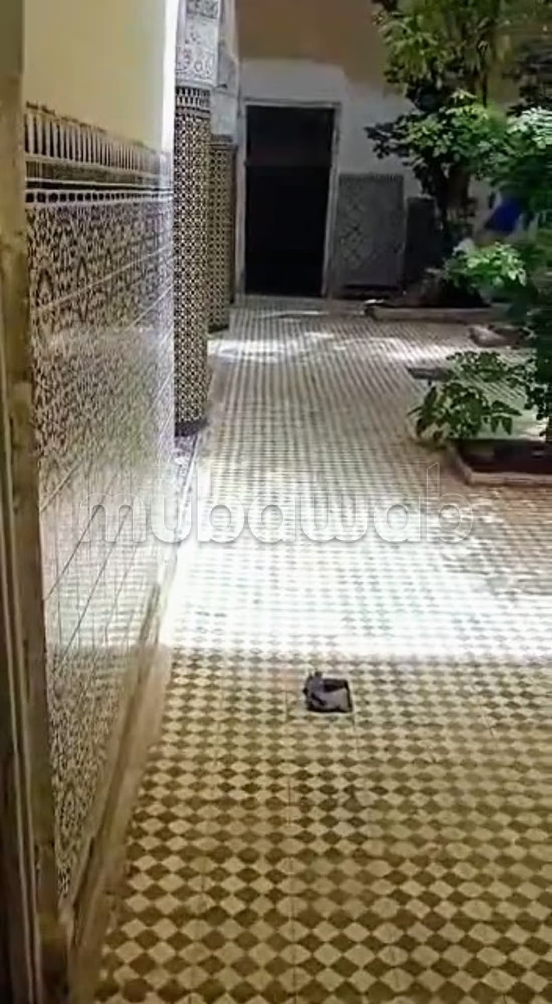 Vente d'un bel appartement à El Keddan. Superficie 300 m². M...