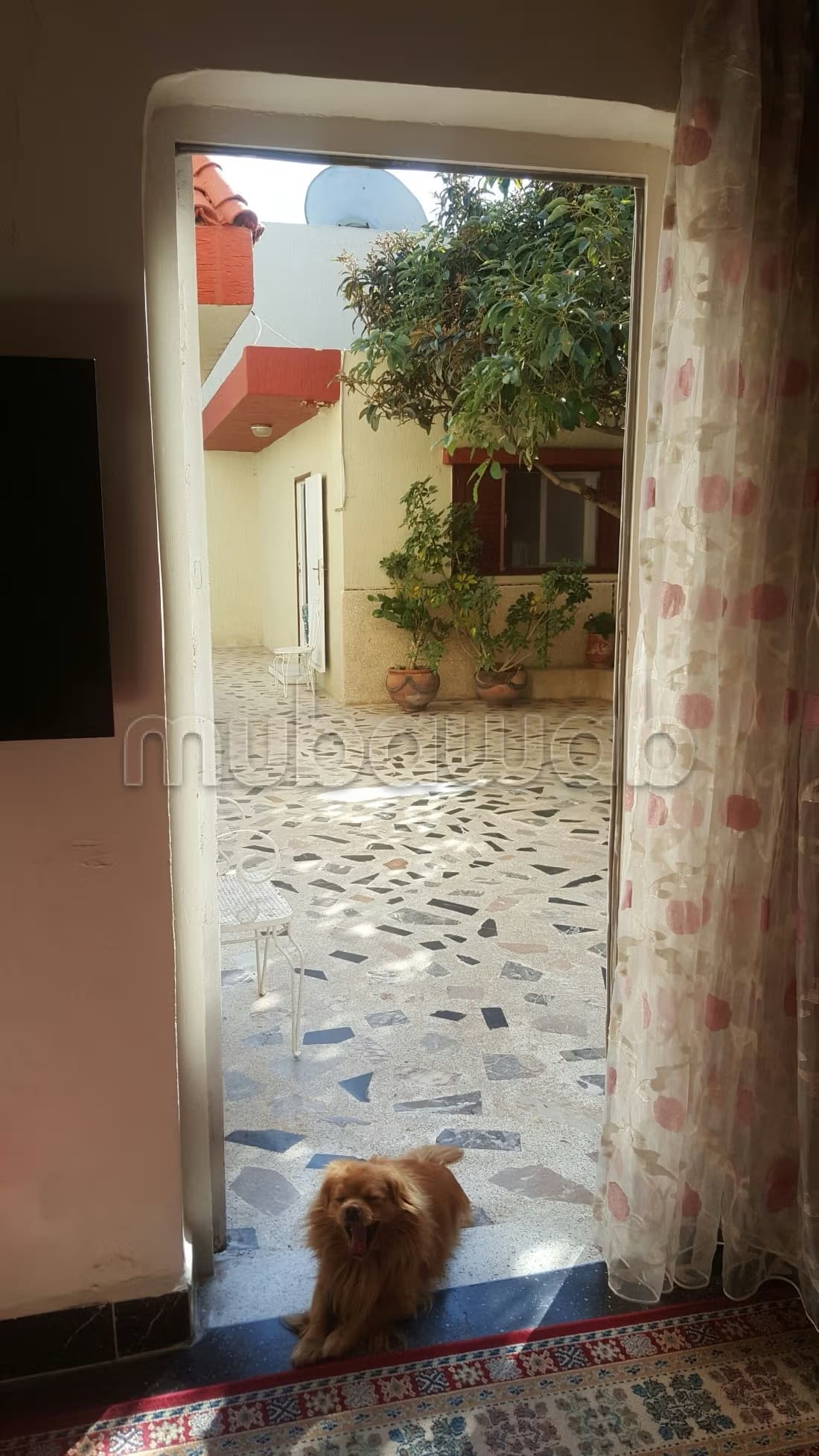 Villa à vendre À mabella / Rabat