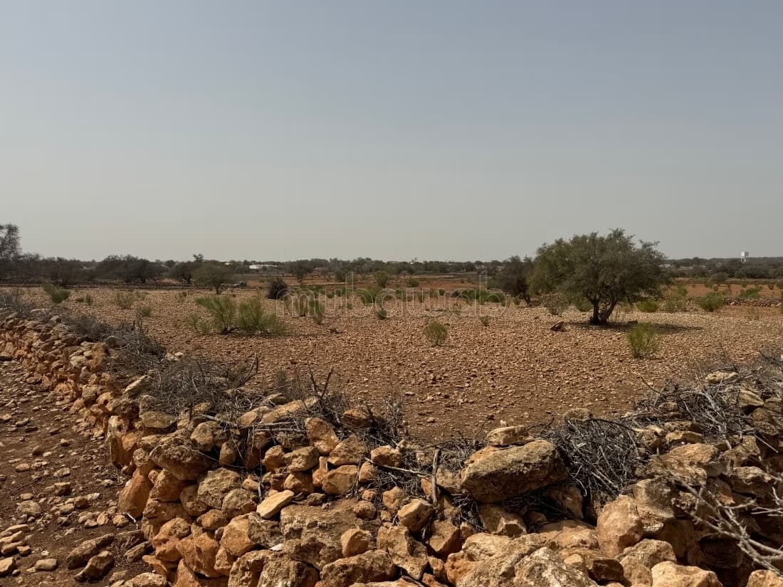 Vente de terrain à Route d'Agadir. Surface de 2000 m²