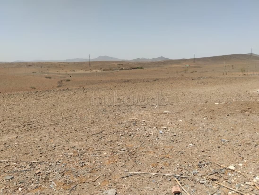 Terrain un hectare mlkiya km 23 bien situé