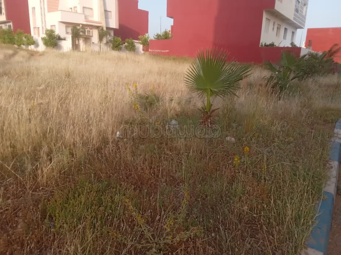 Terrain à vendre à Riad Toulal. Superficie 346 m²
