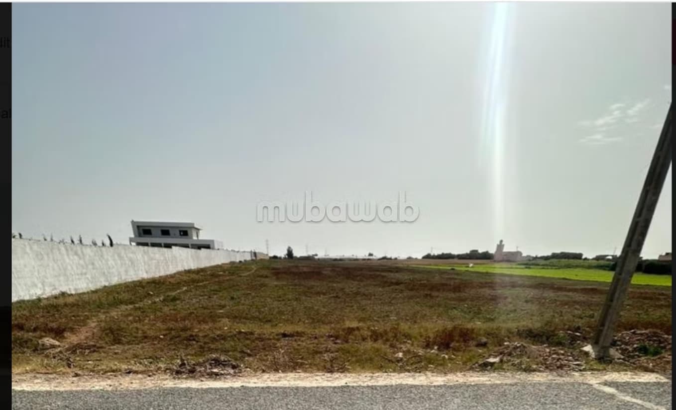 Vente terrain 1ha mssouar rassou