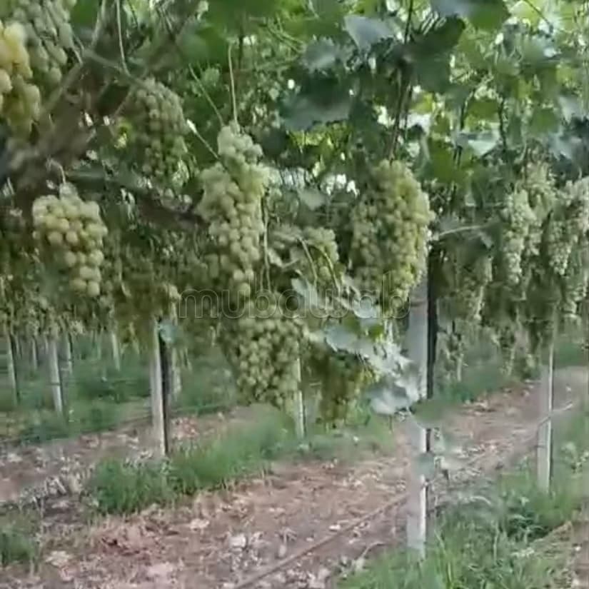 Ferme équipée à ne pas rater