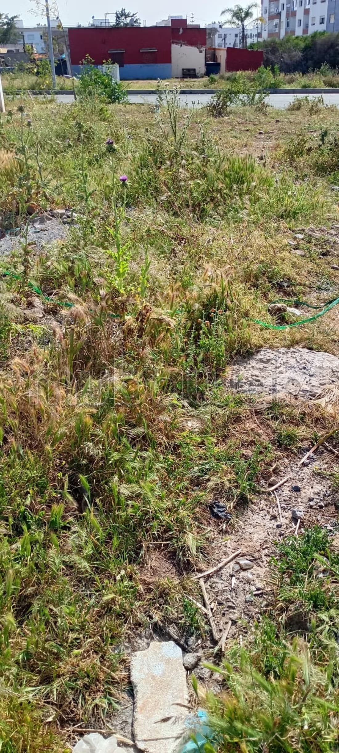 Vente d’un terrain sur temara madwaz