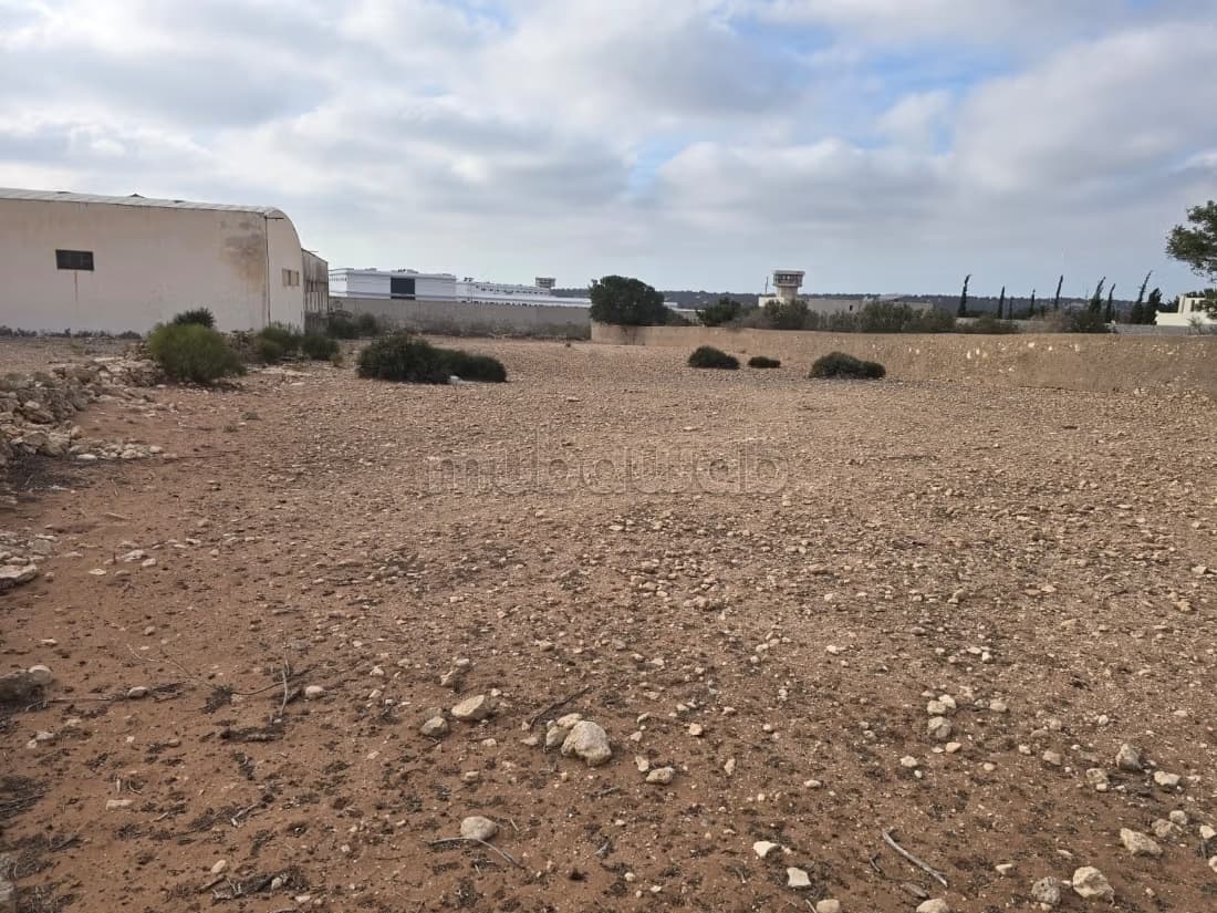 Terrain titré D2 – 3000 m², lots de villas
