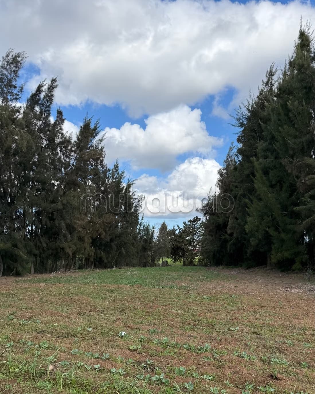 Terrain titré de 11.782 m² proche de Kénitra Atlantic Free Z...