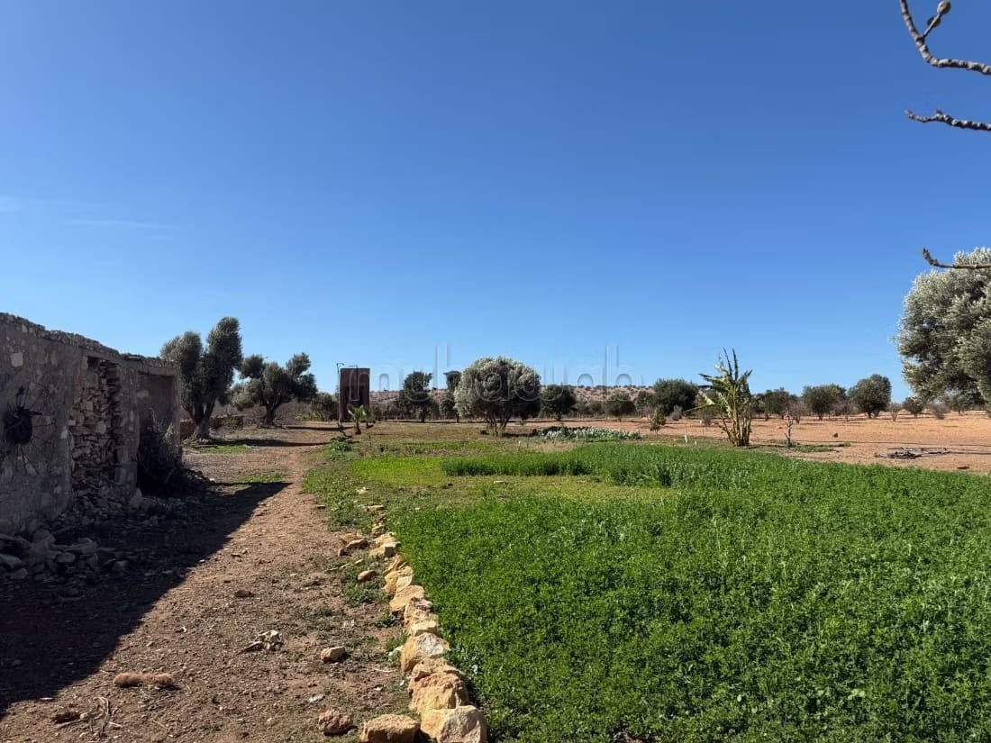 Beau terrain à la vente à Ounagha. Surface de 34000 m²
