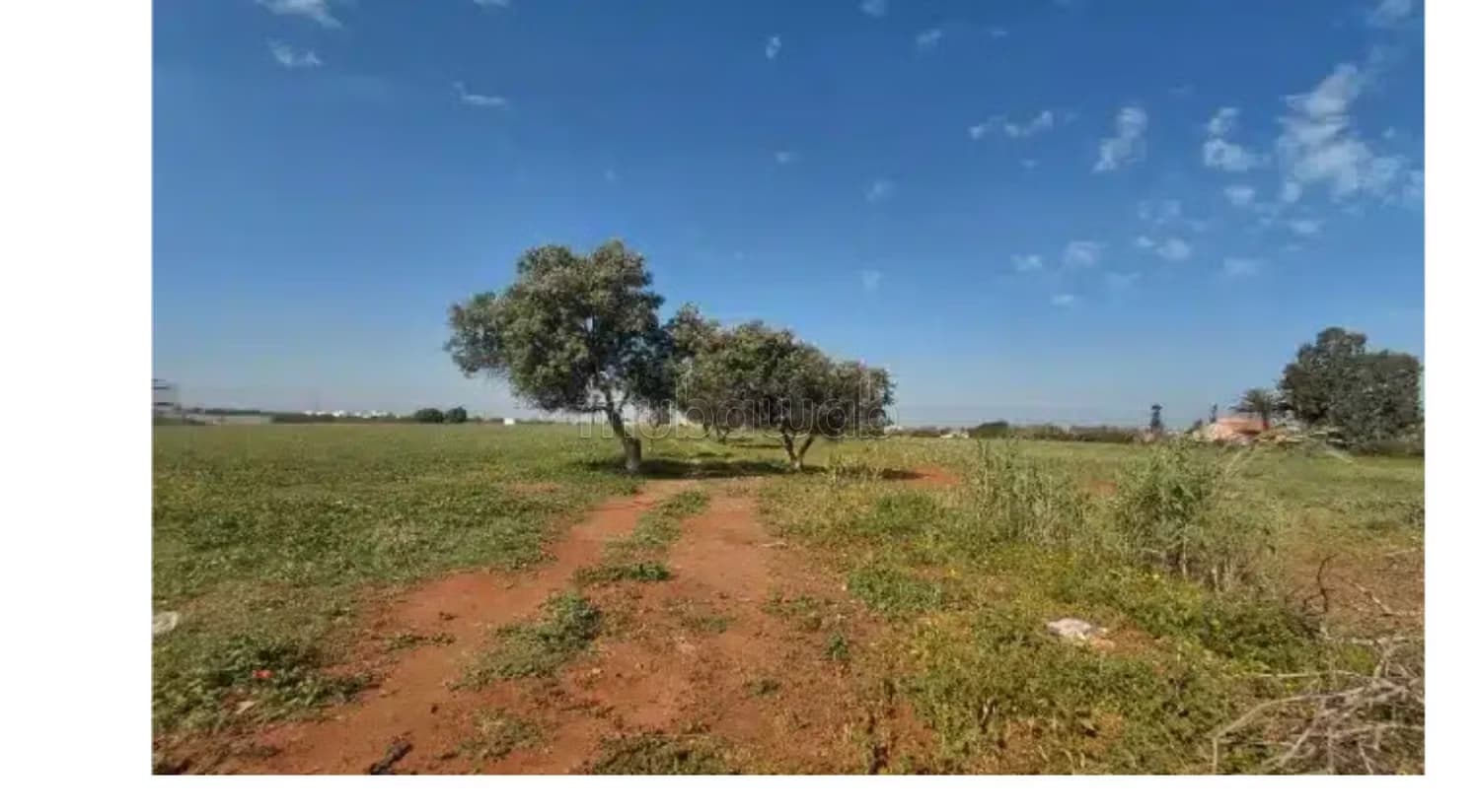 Vente de terrain à Zone industrielle. Superficie 10000 m²