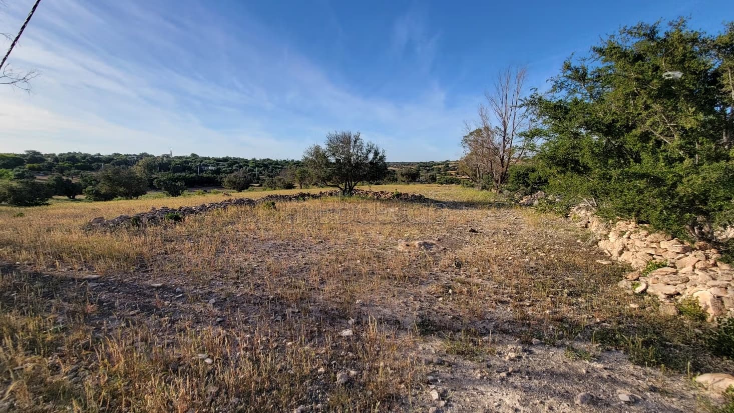 Terrain constructible 12000m² à Essaouira Lahrarta