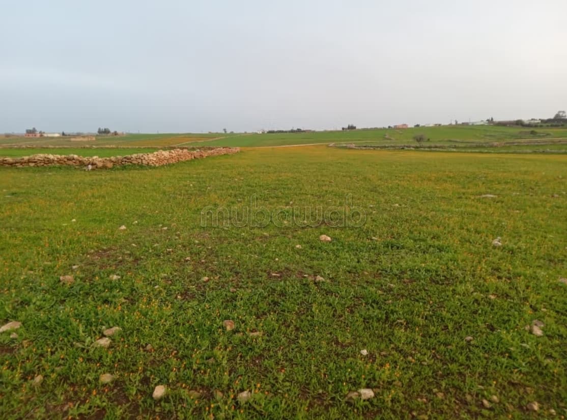 Terrain agricole à vendre