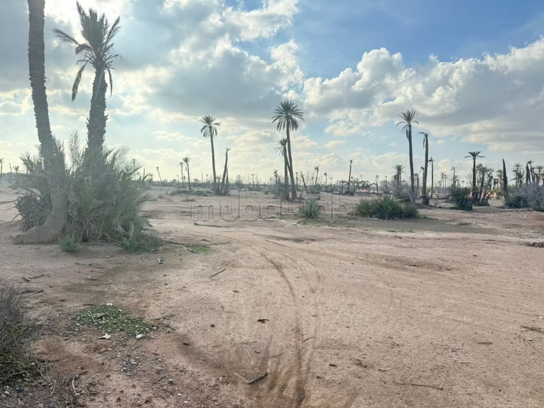 Terrain a la palmeraie Marrakech pour hôtel