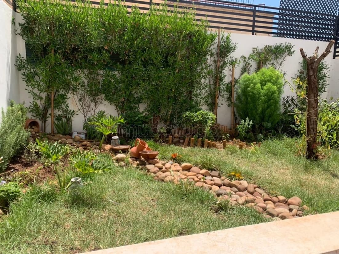 A Louer grand studio avec terrasse et jardin a palmier