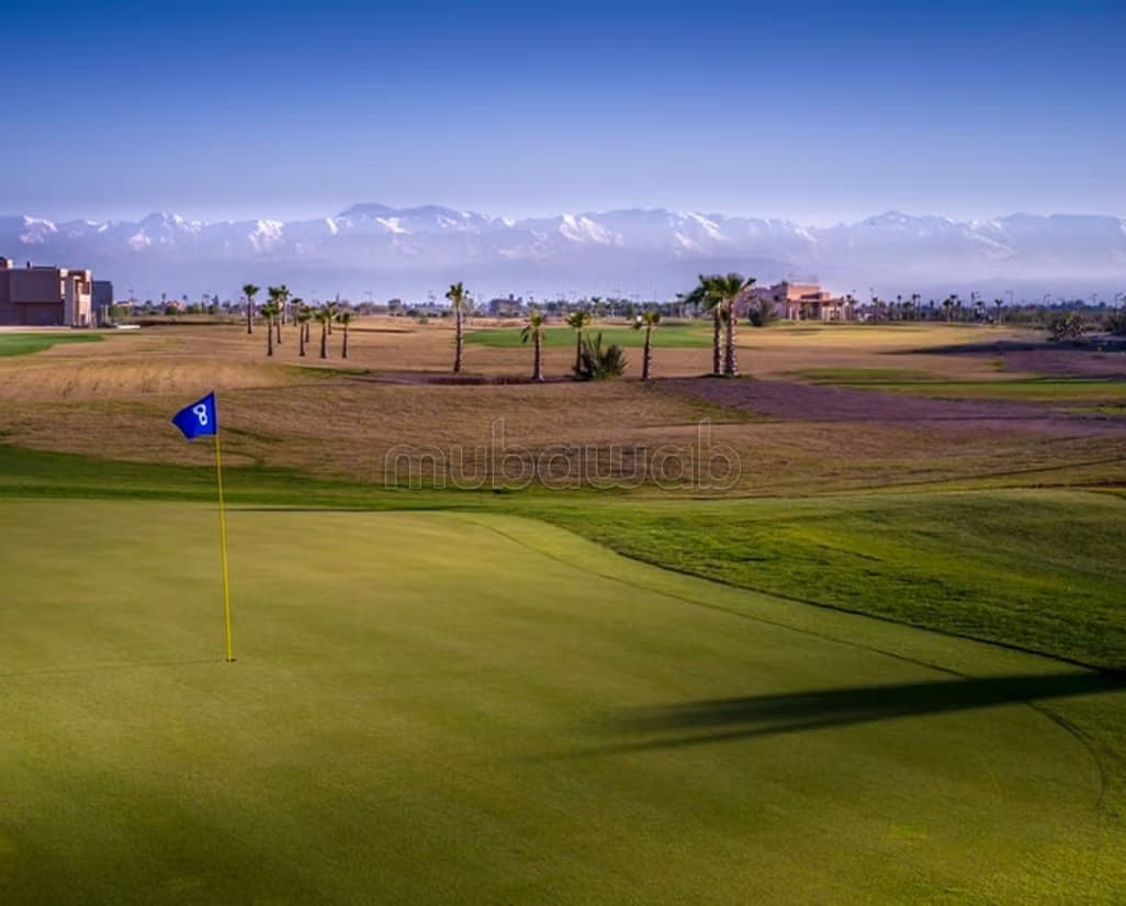 Grand terrain front golf à amelkis 2