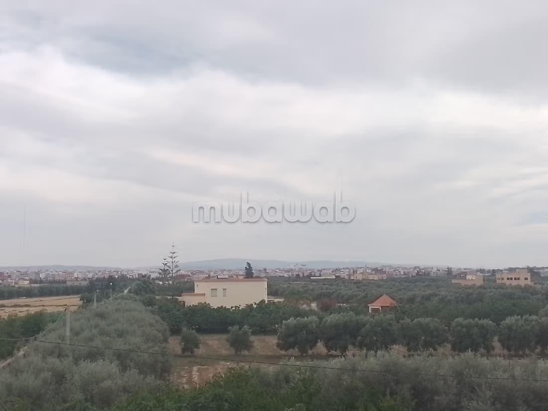 Terrain à Boubarek Nador