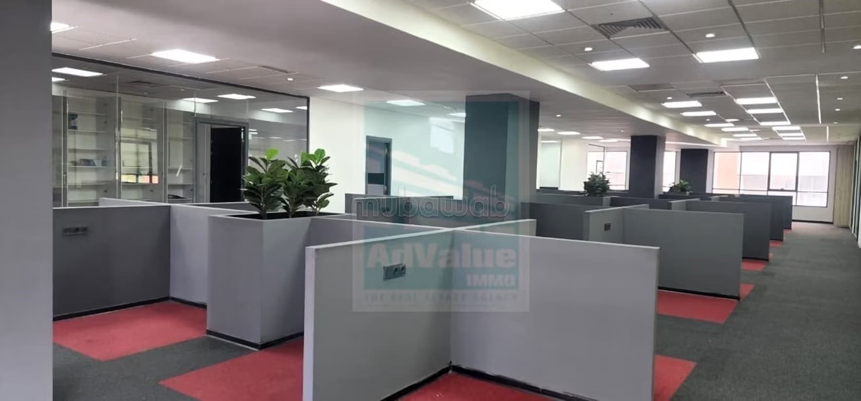 DL. 1013: Bureau au Boulevard Zoulikha Nacir
