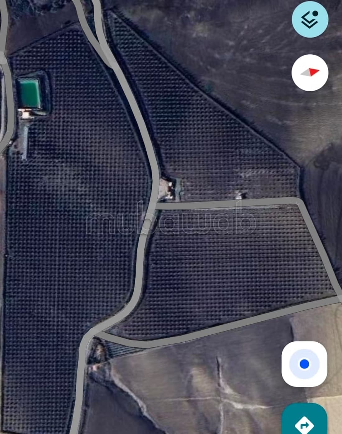 Ferme d'oliviers sur route à 5mn de Fès
