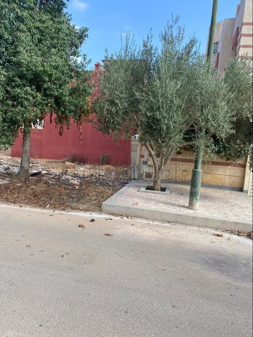 Lot de Viilla Riad Wislane 2 prix intéressant