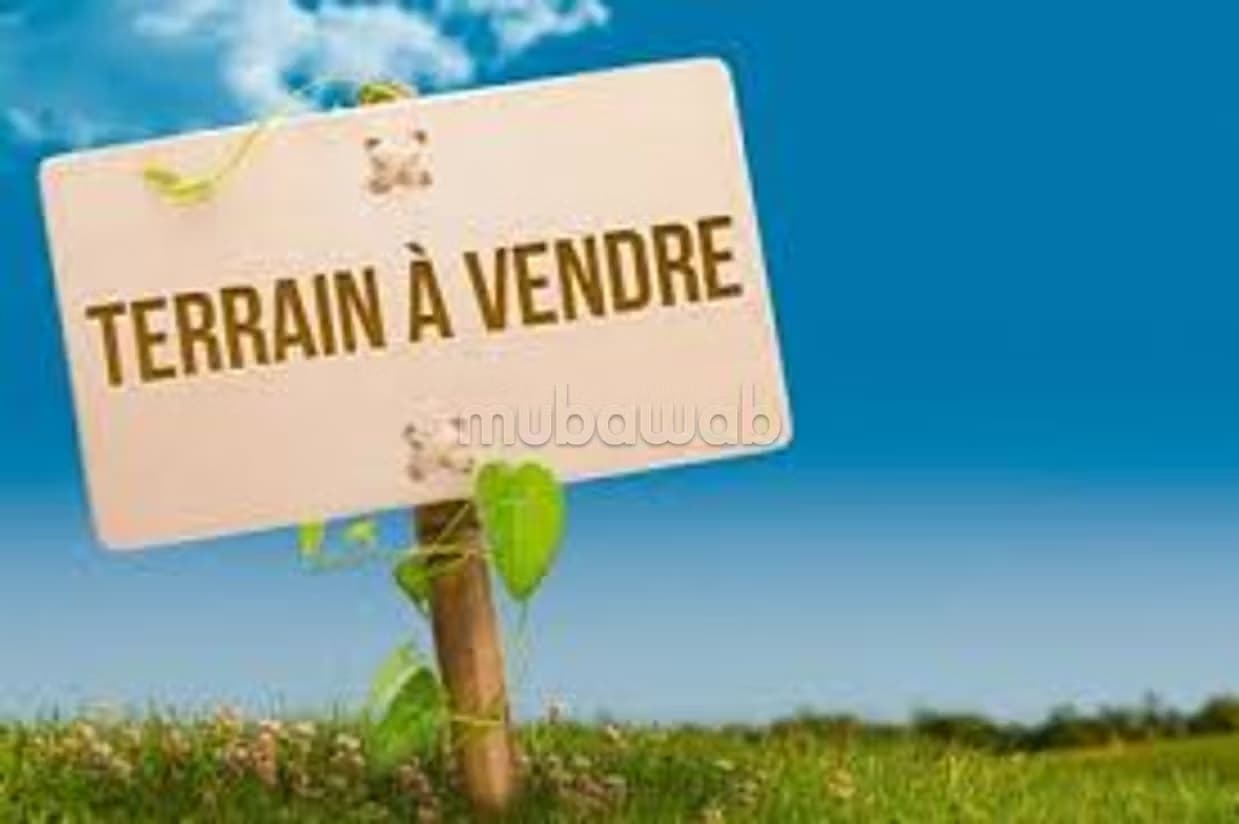 Terrain 949 m² pour villa, Oasis