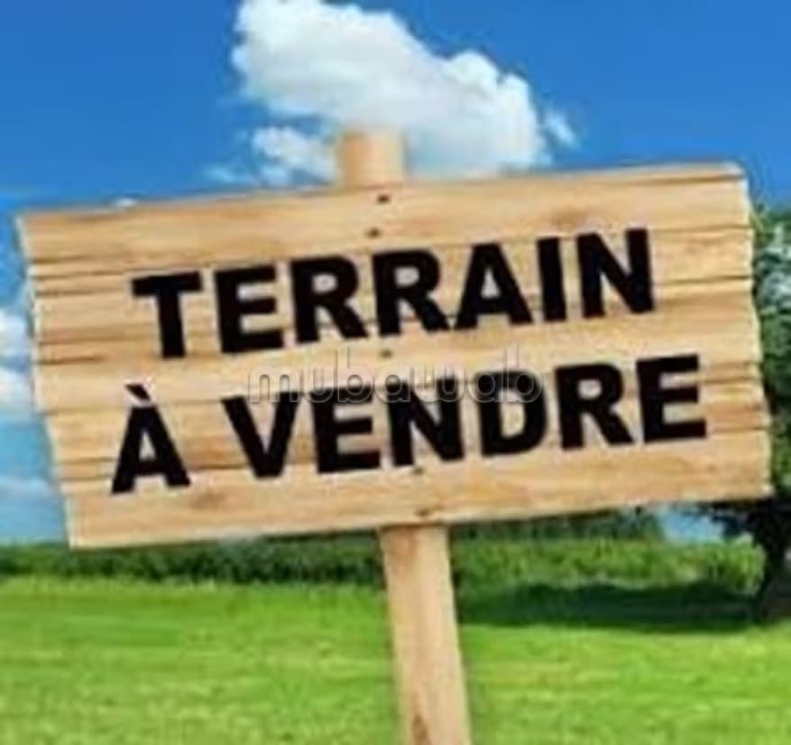 Opportunite d'investissement