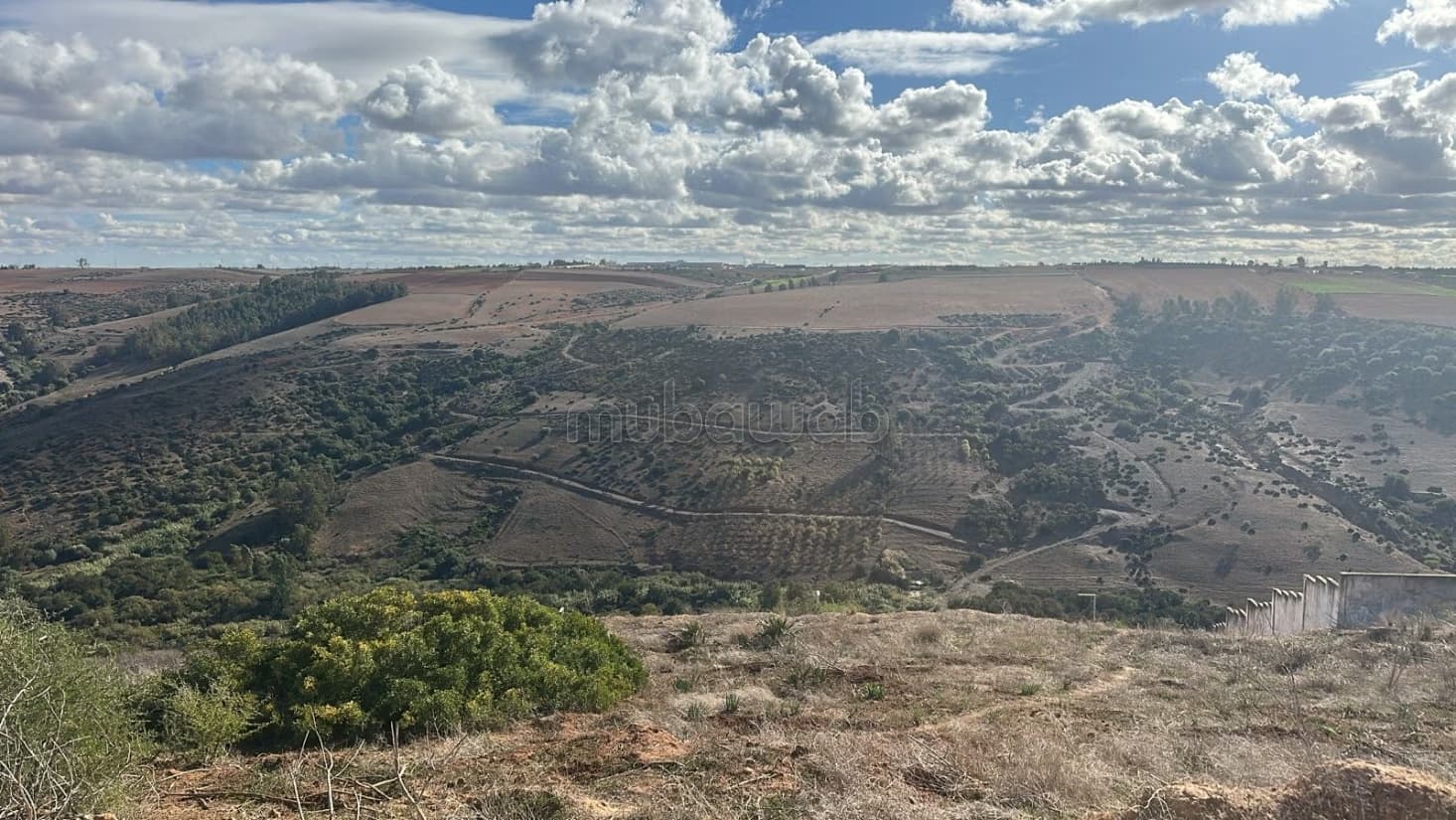 Terrain à vendre Souissi Rabat – 2 424 m² – Vue panoramique...