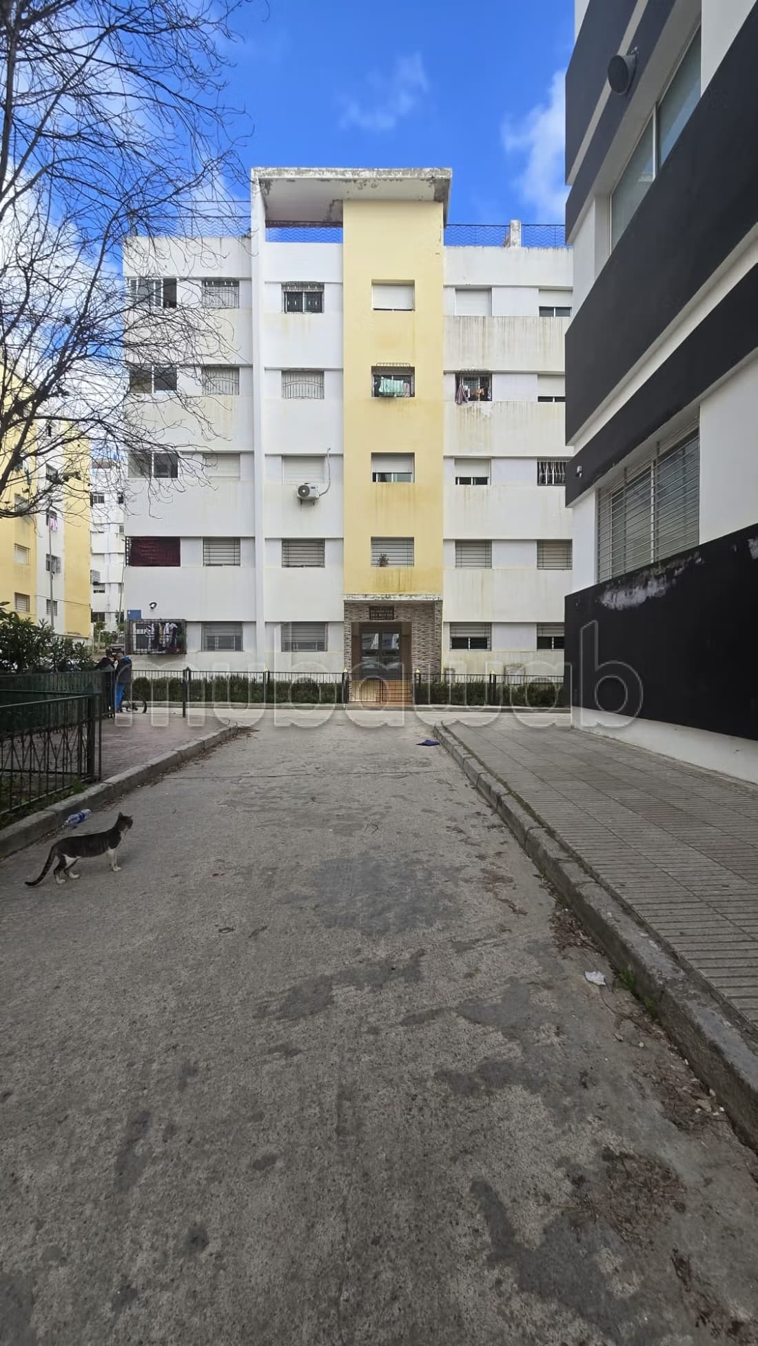 Appartement zeimouri 3